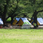 上大島キャンプ場　テントサイト