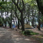 上大島キャンプ場　キャンプ場3