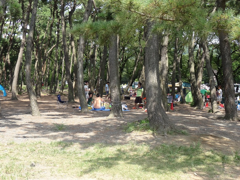 上大島キャンプ場　キャンプ場1