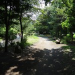 上大島キャンプ場　散策路