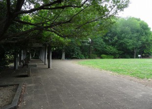 久保山公園 (3)