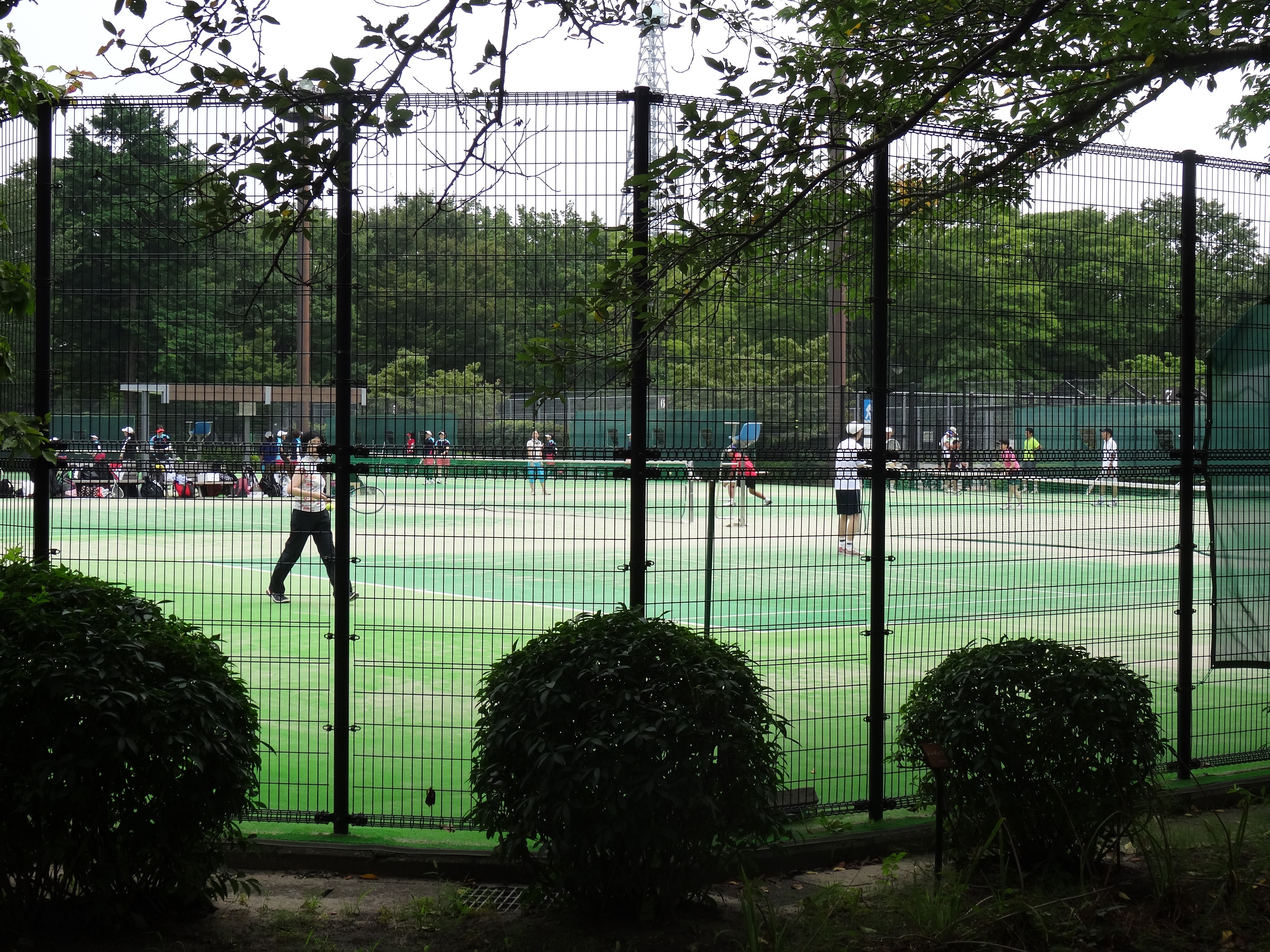府中の森公園　テニス場