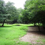 府中の森公園　武蔵野の森