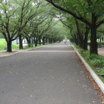 府中の森公園　中心を歩道が伸びる