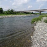 福生南公園　多摩川は流れが速いので水遊びは十分に気を付けてください。