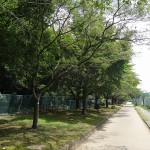 福生南公園　遊歩道