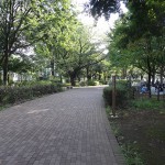 武蔵野中央公園　遊歩道