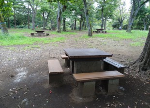 武蔵野公園　