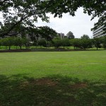 若葉台公園　円形広場