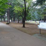 野川公園　バーベキュー場沿い歩道