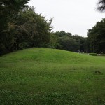 野川公園　大芝生の丘