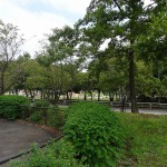 松木公園