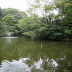 和田堀公園　噴水