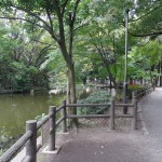 和田堀公園　　散策路