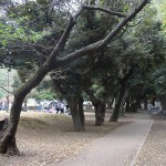 和田堀公園　BBQ広場横散策路