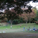 富士見台公園　ピクニック広場