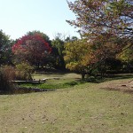 清瀬金山緑地公園横　柳瀬川河川敷（東京都　清瀬市）をおすすめスポットに追加しました。