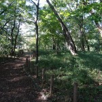釜の淵公園　散策路