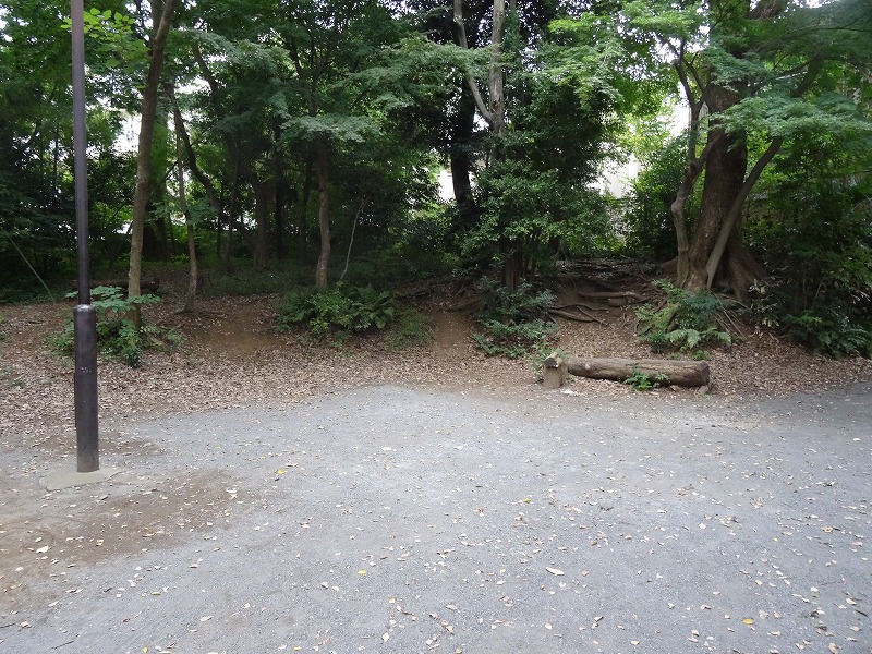 鎌田公園