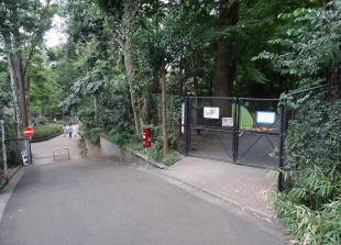 鎌田公園 (17)