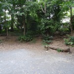 鎌田公園