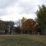 たけのこ公園（東京都　小平市）をおすすめスポットに追加しました。