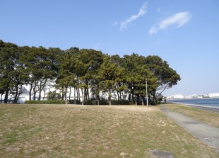 京浜島つばさ公園 (20)