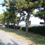 京浜島つばさ公園