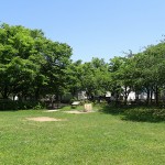 新左近川親水公園　芝生広場