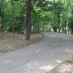 府中の森公園　周辺を沿うウォーキングロード