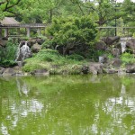 府中の森公園　日本庭園風の池