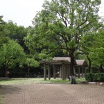 府中の森公園　いたるところに休憩場が