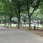 府中の森公園　遊具も豊富でお子様も大喜び