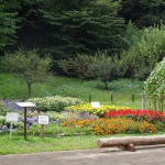 小山内裏公園（東京都　町田市　八王子市）をおすすめスポットに追加しました。