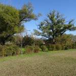 拝島自然公園（東京都　昭島市）をおすすめスポットに追加しました。