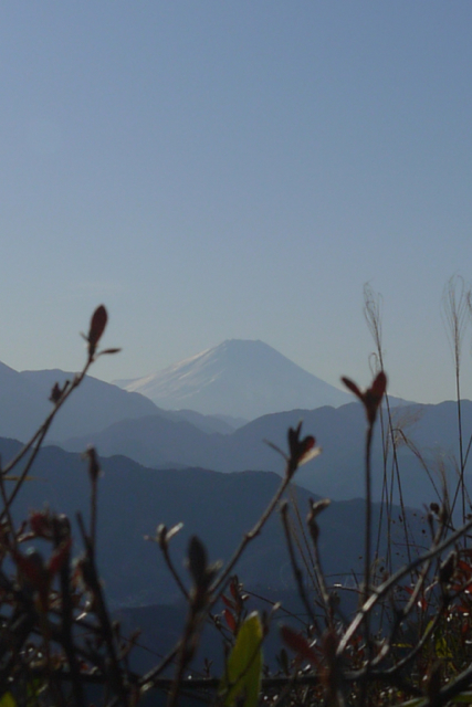 高尾山もみじ台からみた富士山