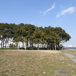 京浜島つばさ公園（東京都大田区）をおすすめスポットに追加しました